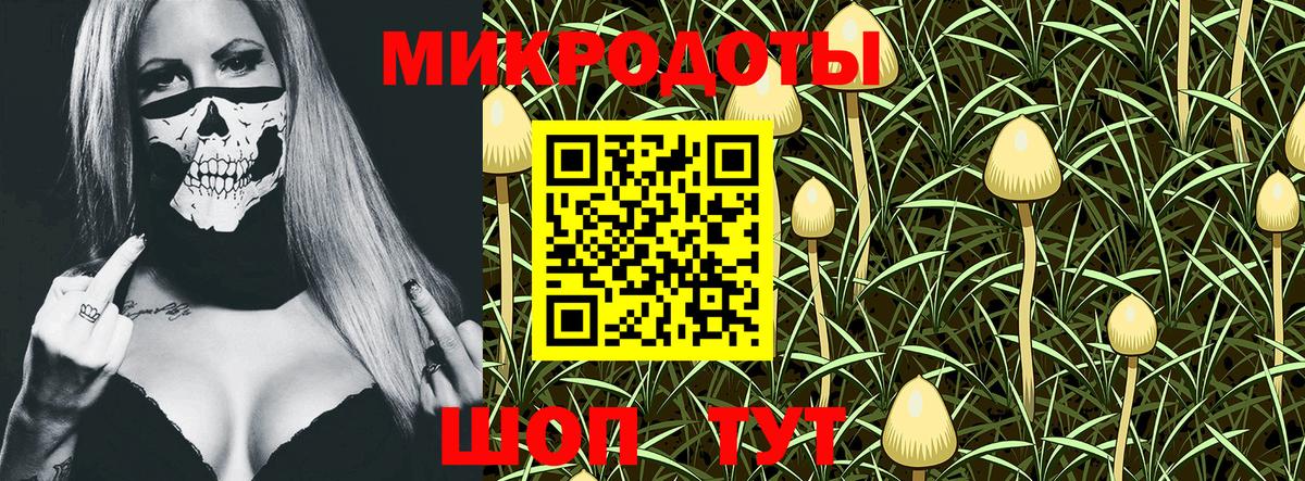 Галлюциногенные грибы мухоморы Зима